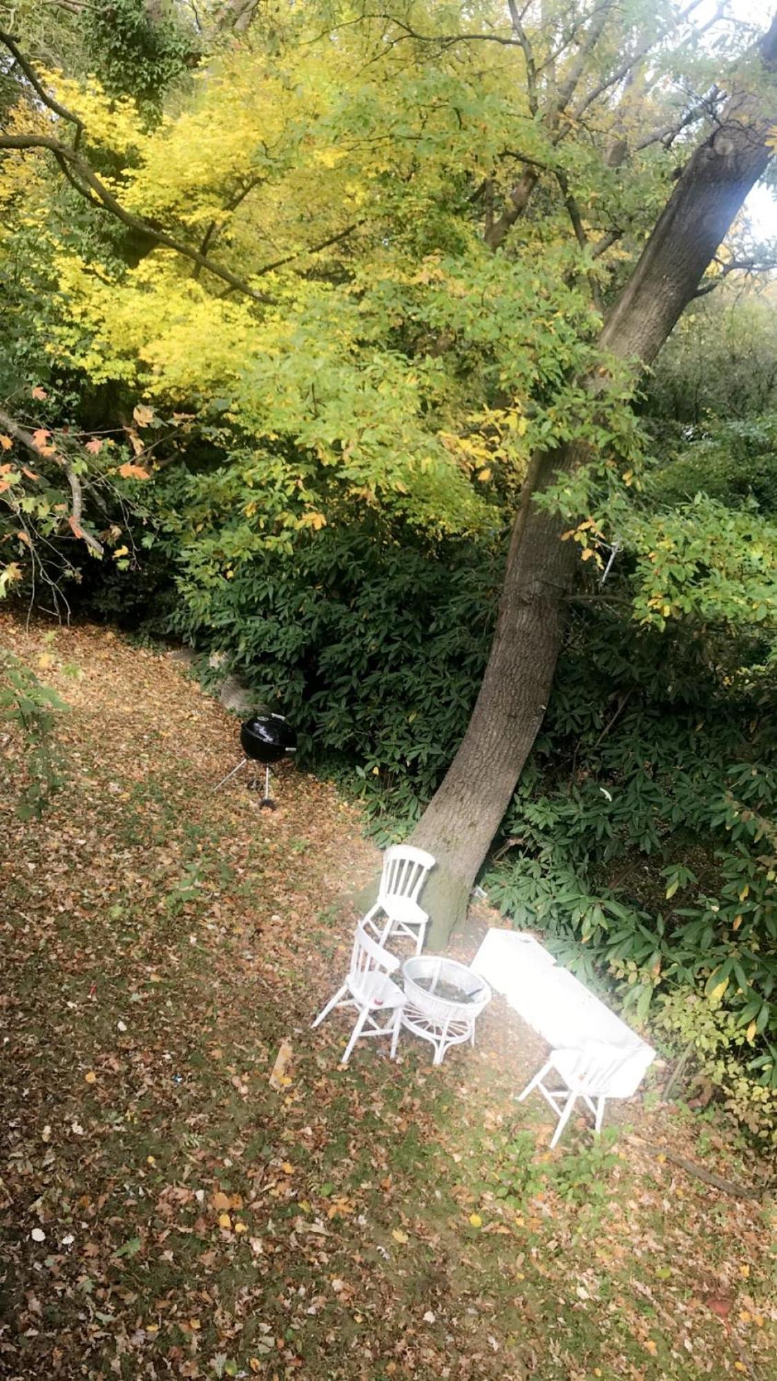 Apartment House Forest Вена Экстерьер фото